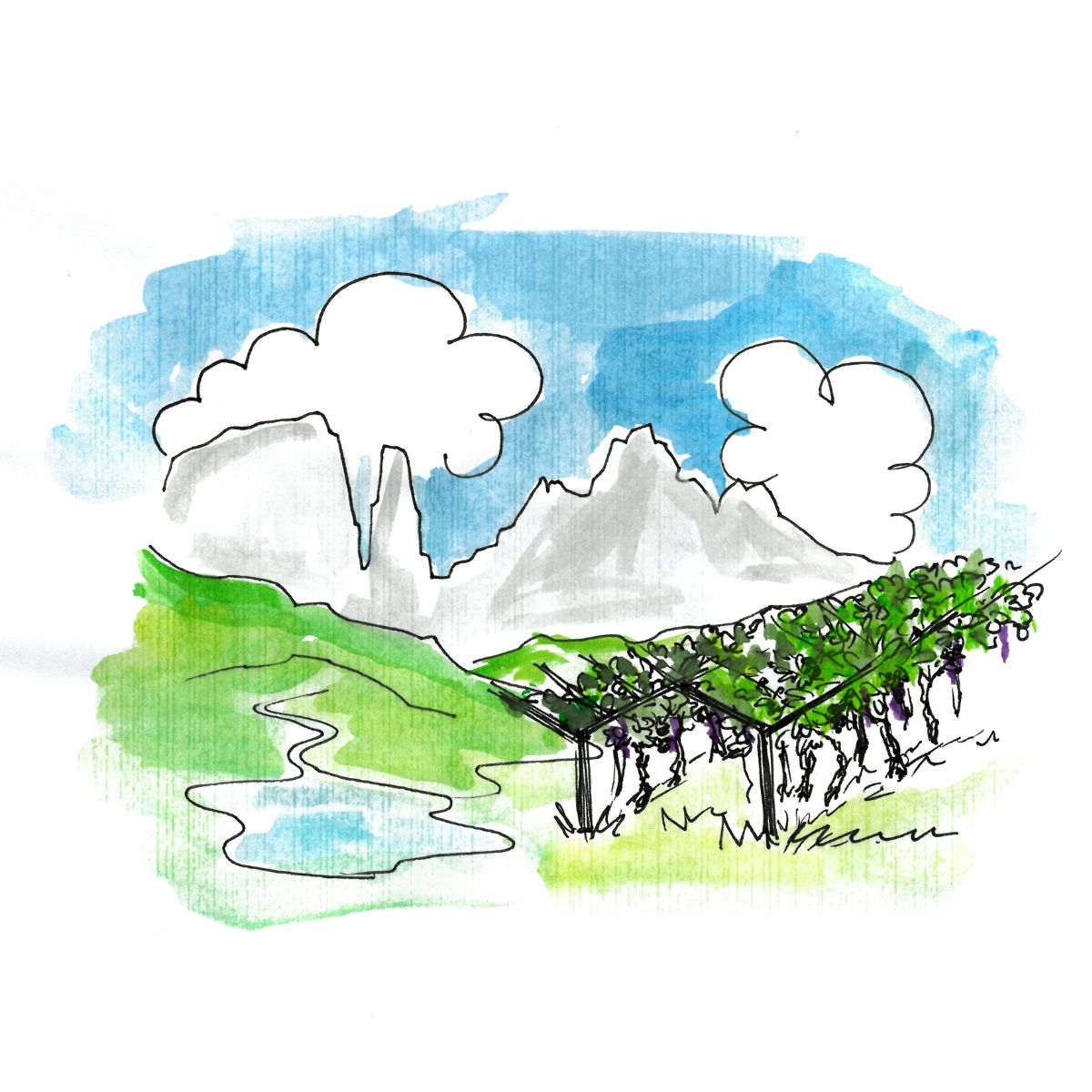 TRENTINO-ALTO ADIGE