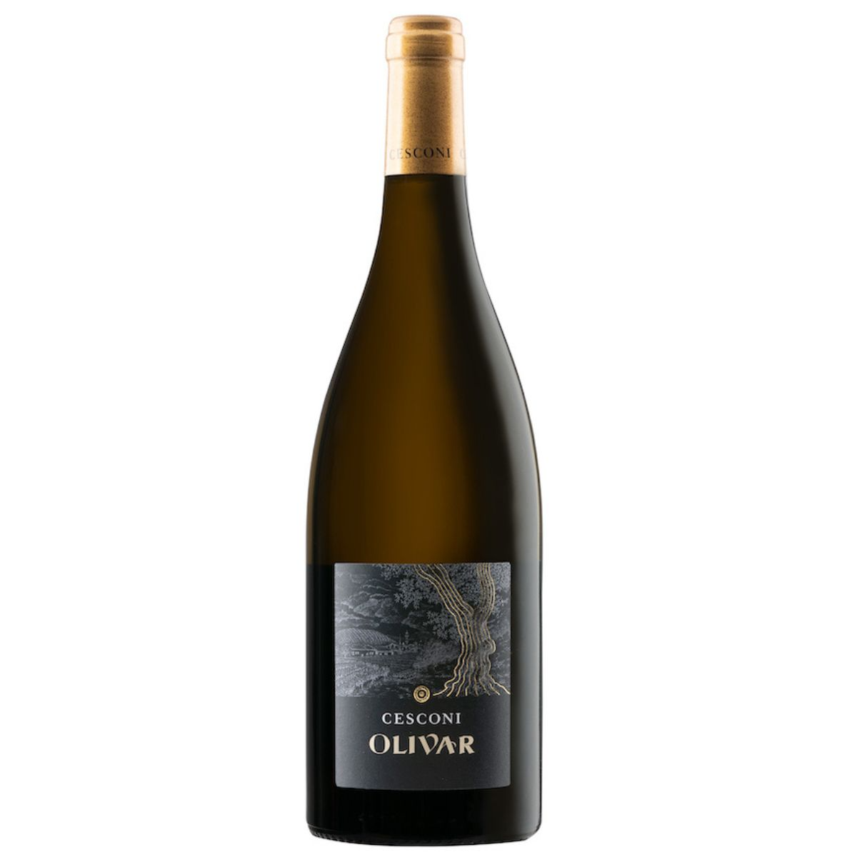 2021 Olivar Bianco, Cesconi, Trentino-Alto Adige