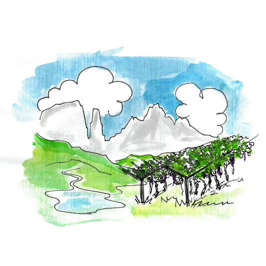 TRENTINO-ALTO ADIGE