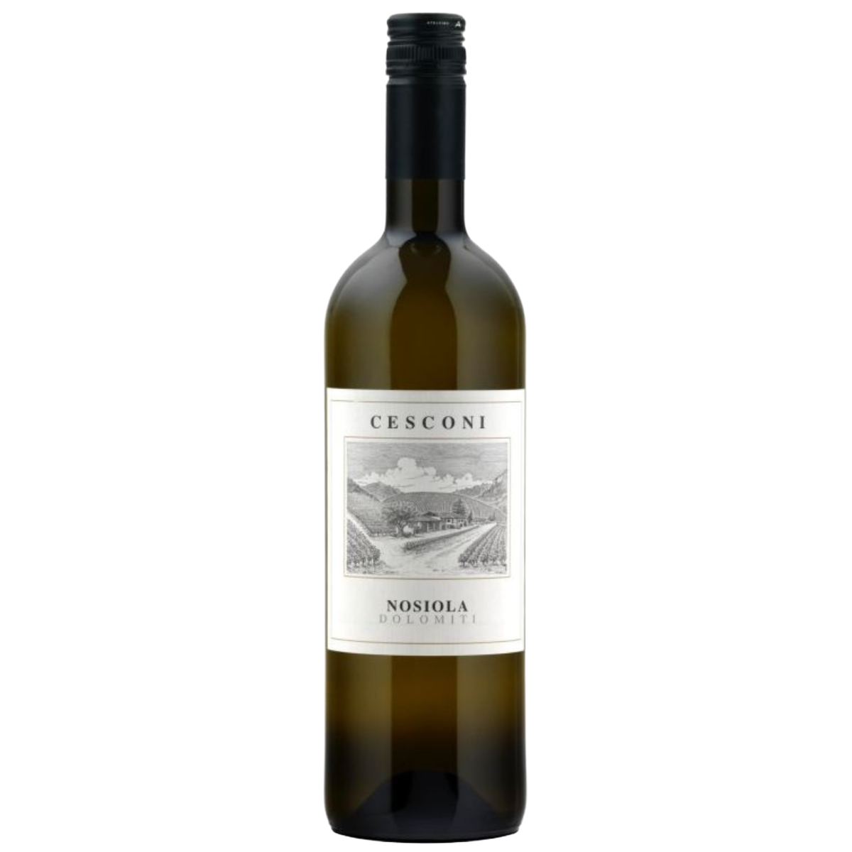 2008 Nosiola, Cesconi, Trentino-Alto Adige