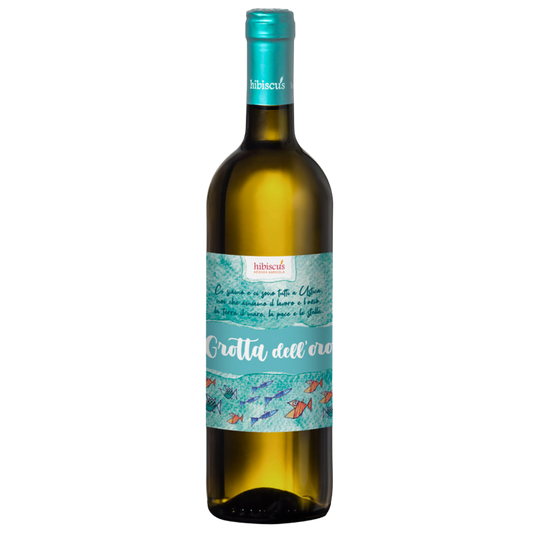 2025 Grotta dell'Oro, Hibiscus, Sicilia
