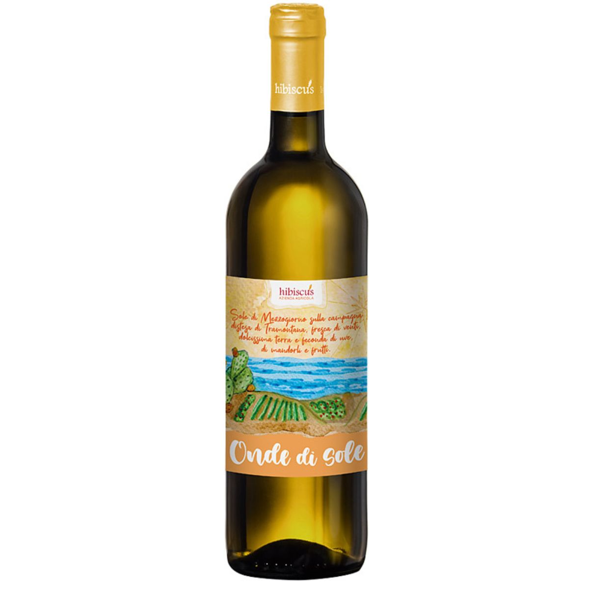 2024 Gocce di Sole, Hibiscus, Sicilia